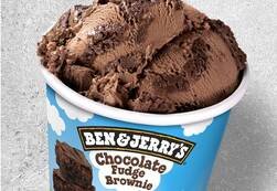 Chocolate Fudge Brownie Ice Cream